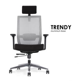 modernform ergonomic chairs